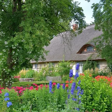 Apfelgarten Am Pfarrgarten Starkow Velgast