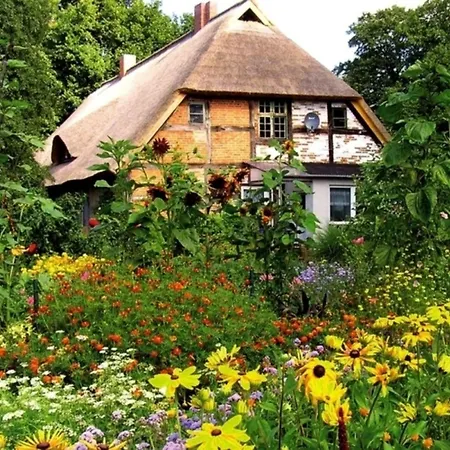 Apfelgarten Am Pfarrgarten Starkow شقة