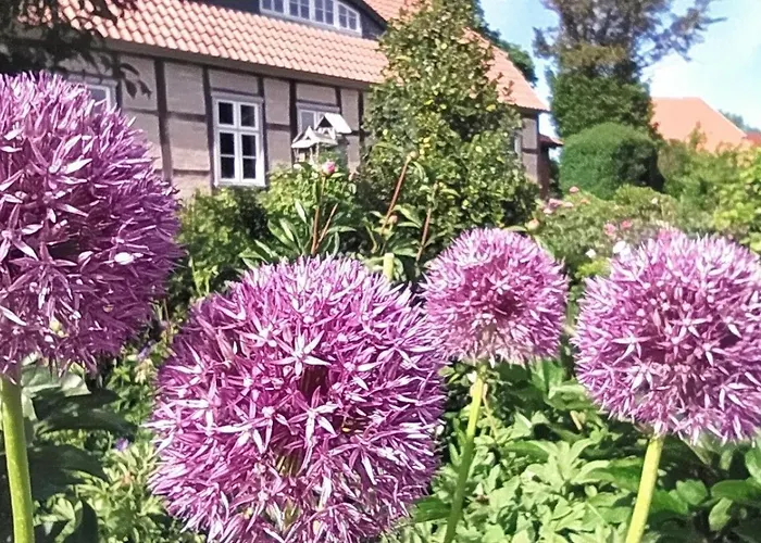 公寓 Apfelgarten Am Pfarrgarten Starkow Velgast